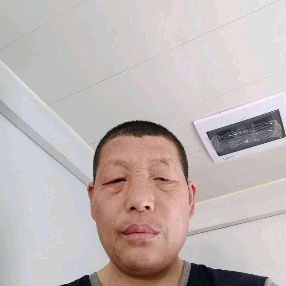 我是个单身狗英勇的照片