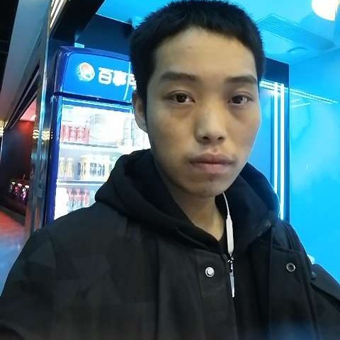 羽毛扯妩媚的照片