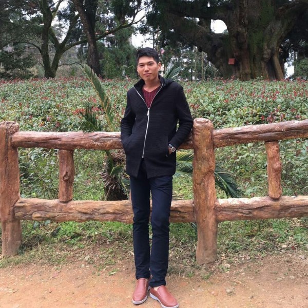 紫菜机灵的照片