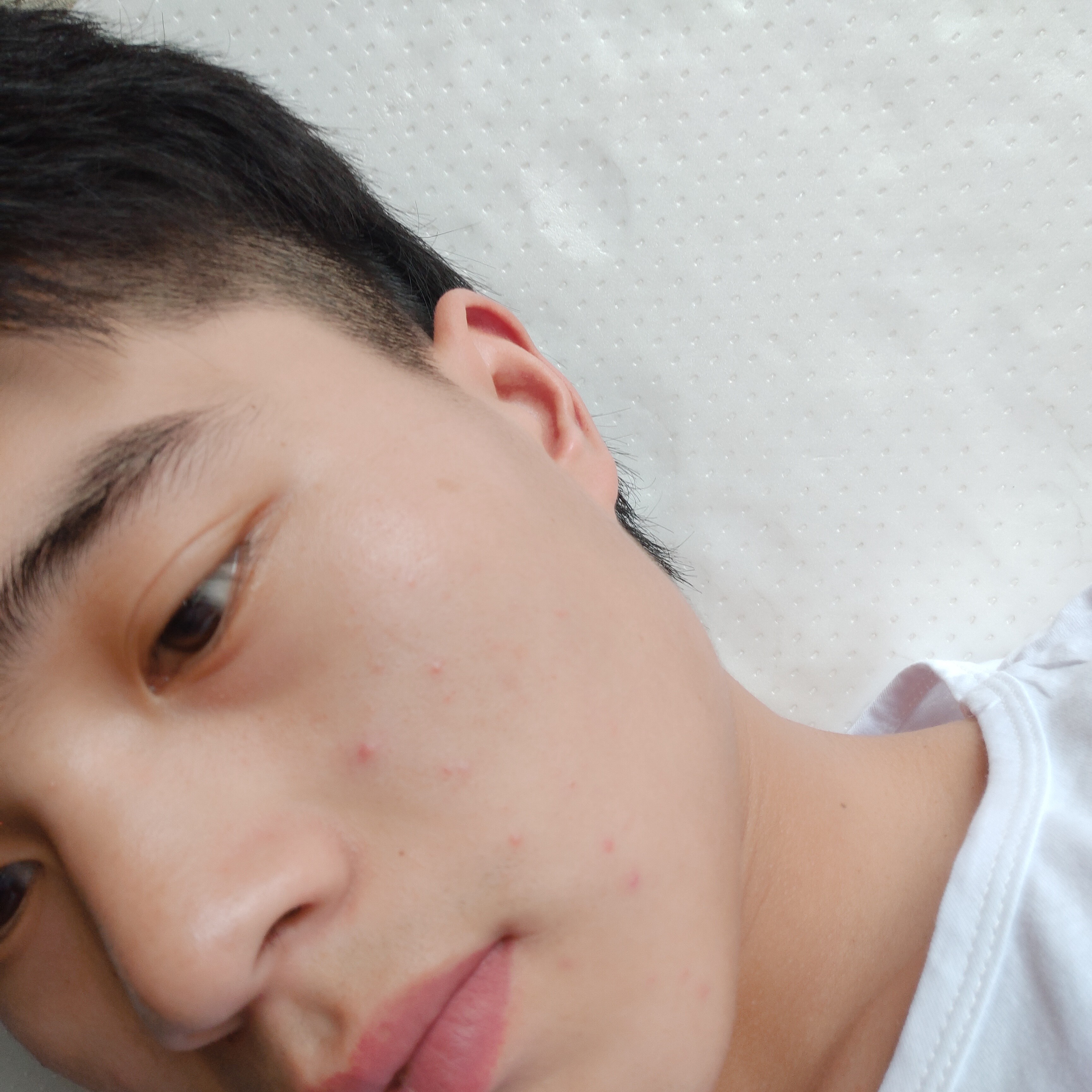 華麗回眸皮带的照片