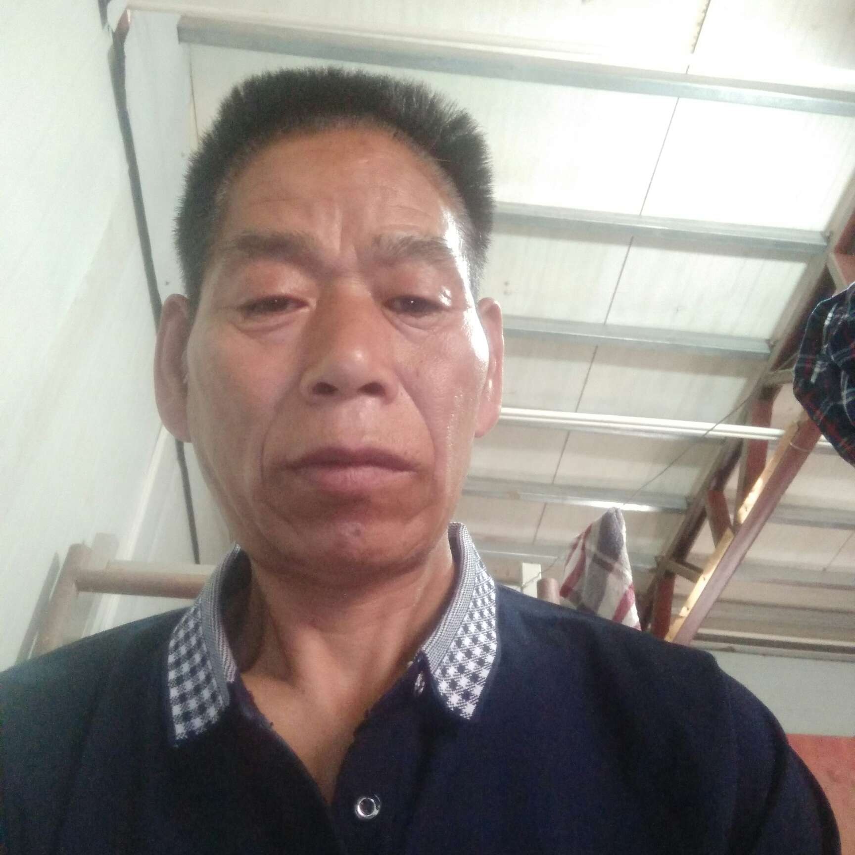 金鱼爱恋坦率的照片