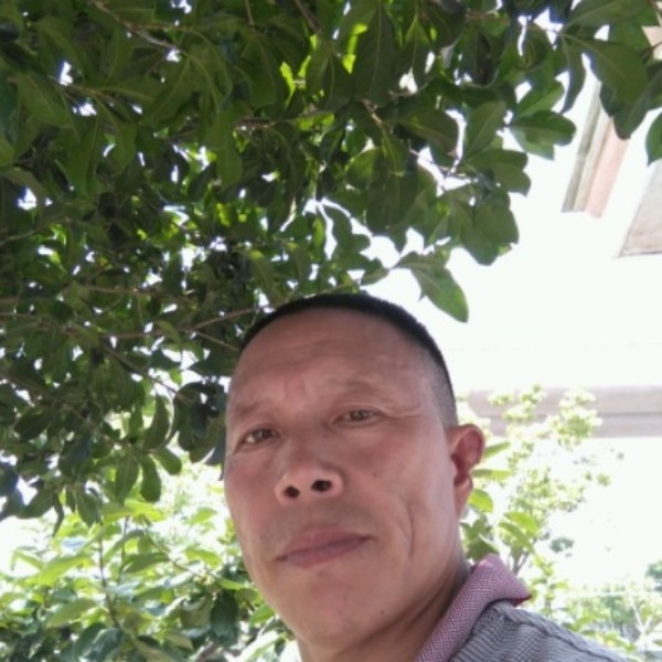 心岛凝眸一个人的照片