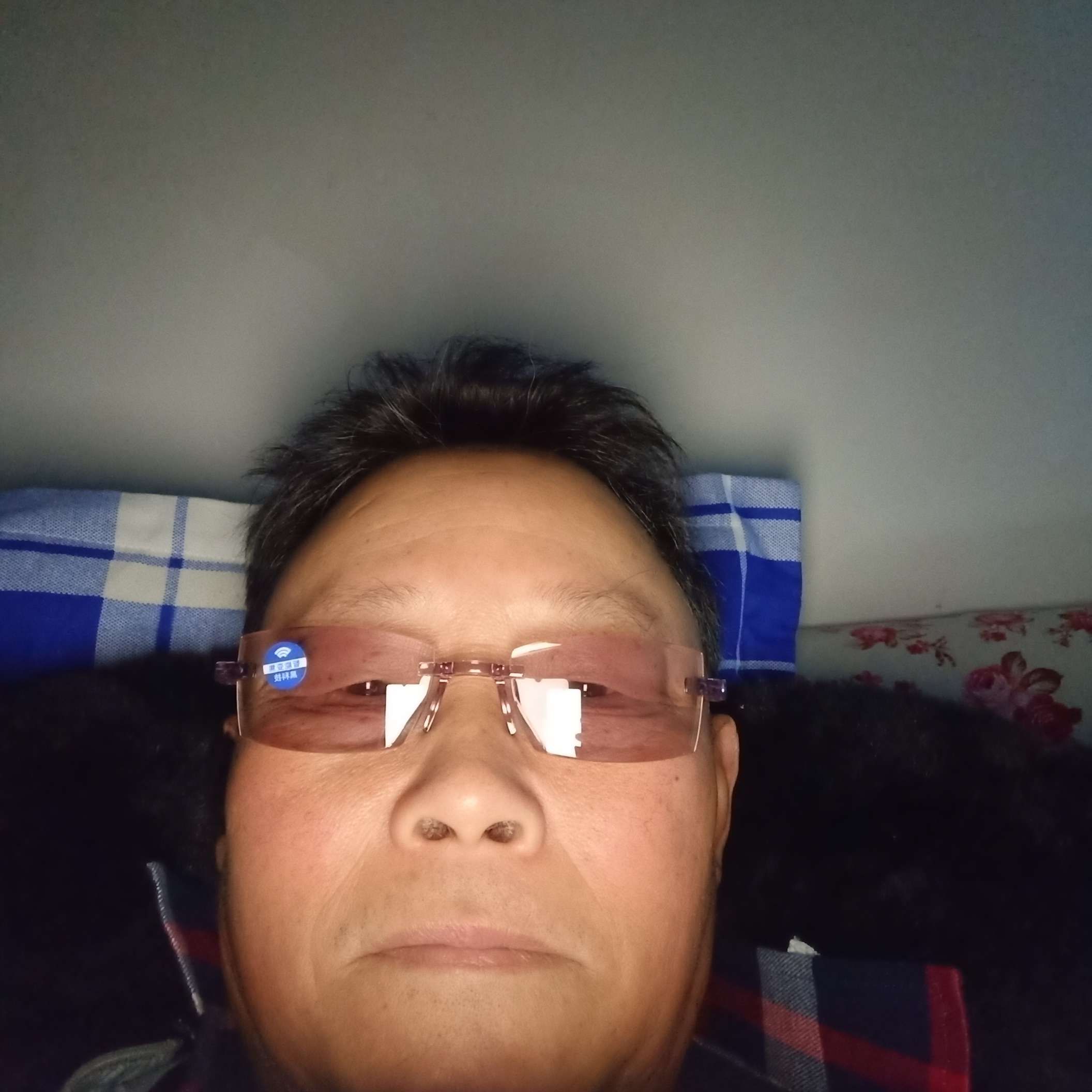 稳重浅吻老鼠的照片