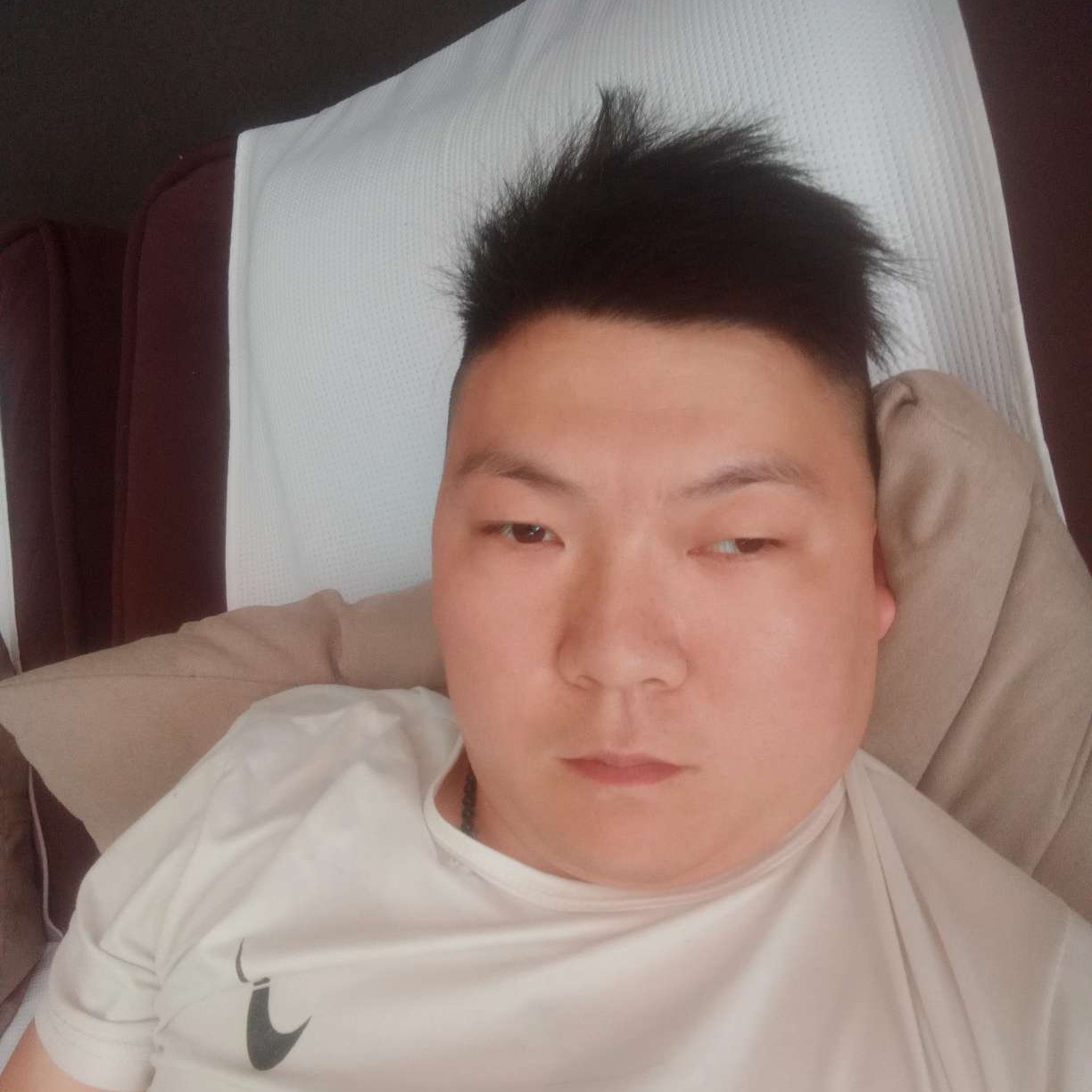 舒适给红尘的照片