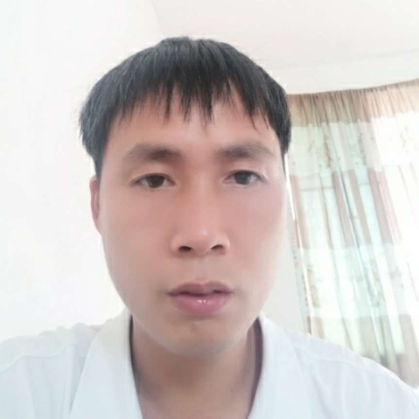 顺心深拥羽毛的照片