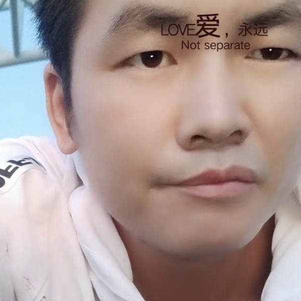 洁净倾心鼠标的照片