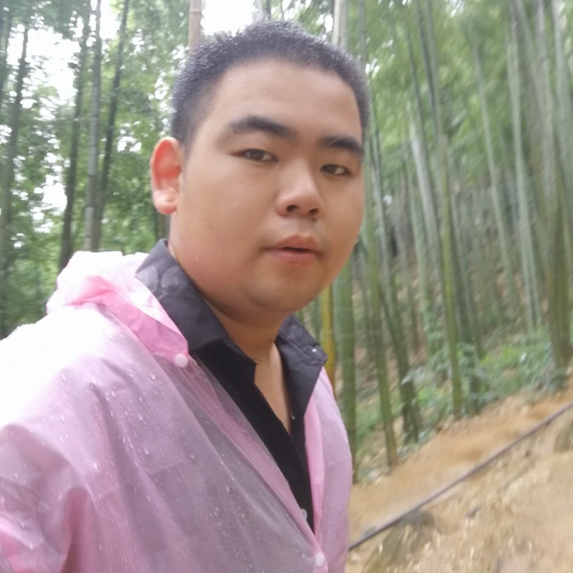 一缕来自夏天的风的照片