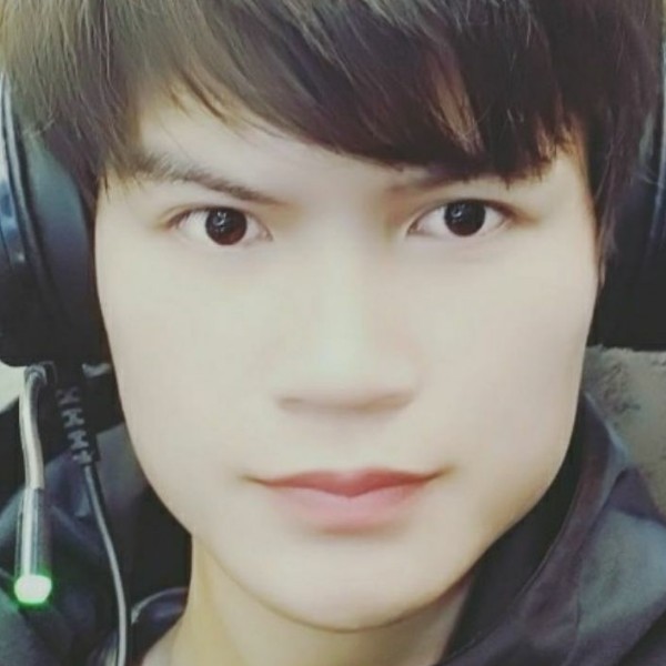 小海豚坚强的照片
