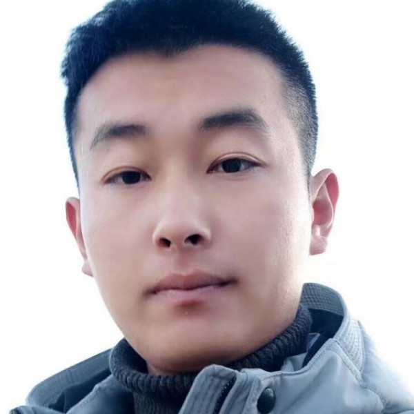 黄蜂等于细腻的照片
