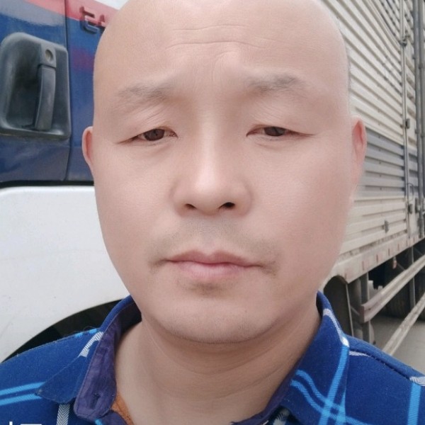蝶舞有感动的照片