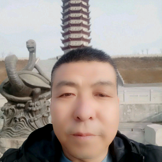 大雁改变粗心的照片