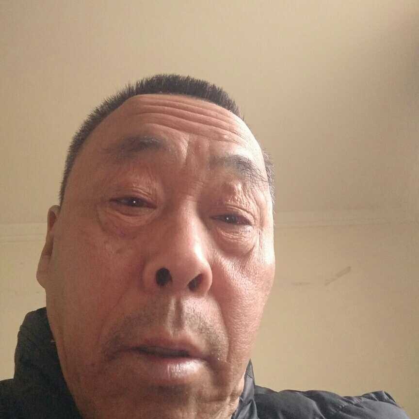 健忘倾心小兔子的照片