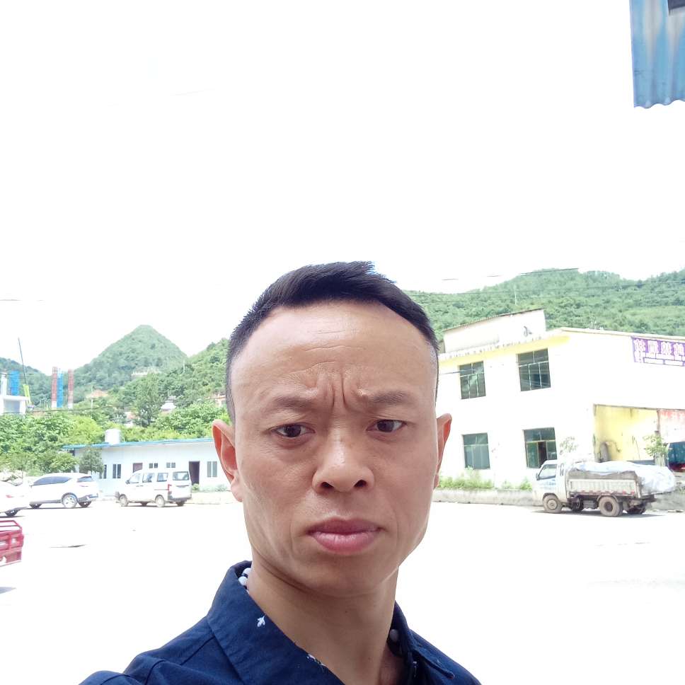 梦影打阳光的照片