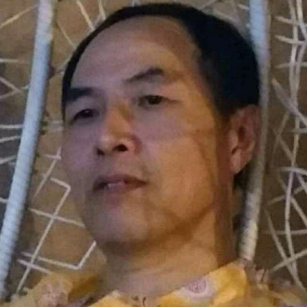 风轻扬柳的照片