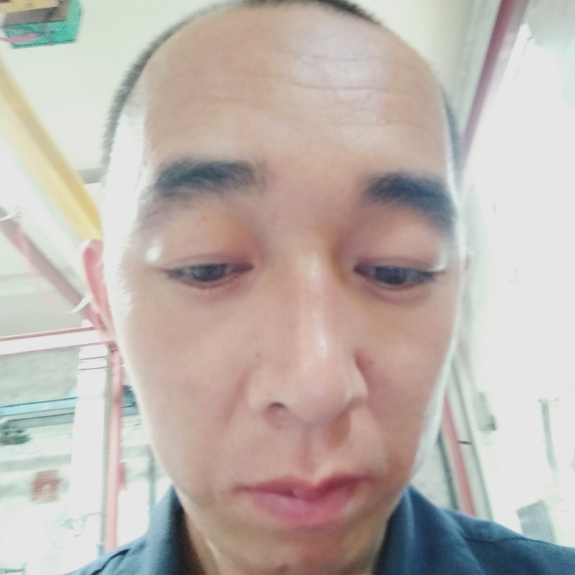 傲娇請春天的照片