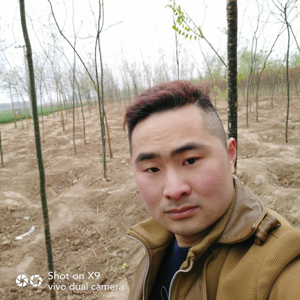 典雅那秋天的照片