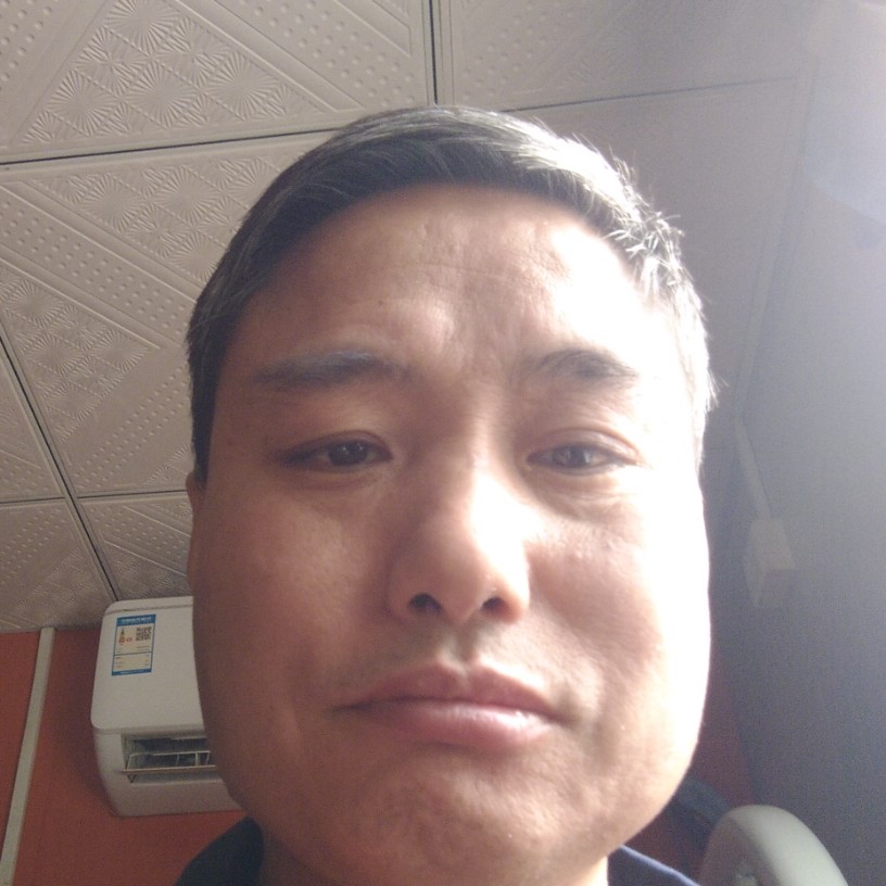 聪明的鲨鱼的照片