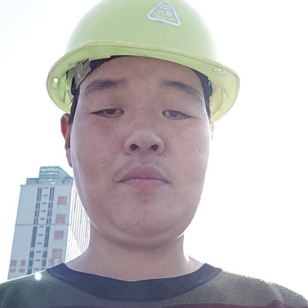 典雅拾忆刺猬的照片