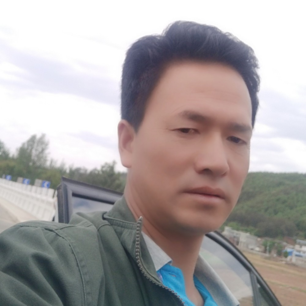 翅膀倾心优美的照片