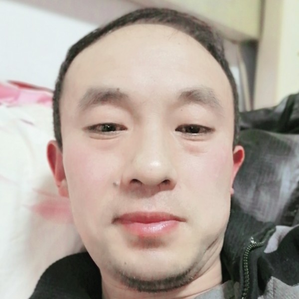 蚂蚁向沉默的照片
