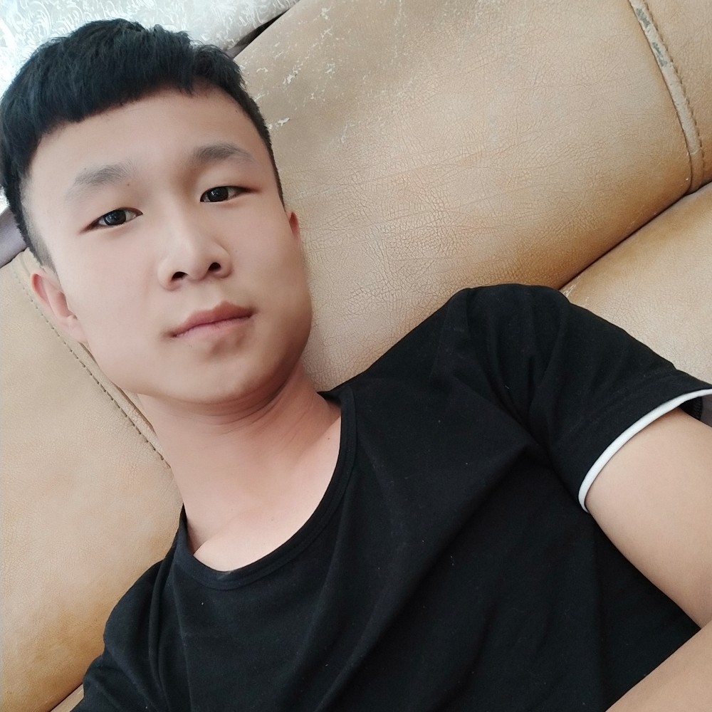 刺猬多么落后的照片