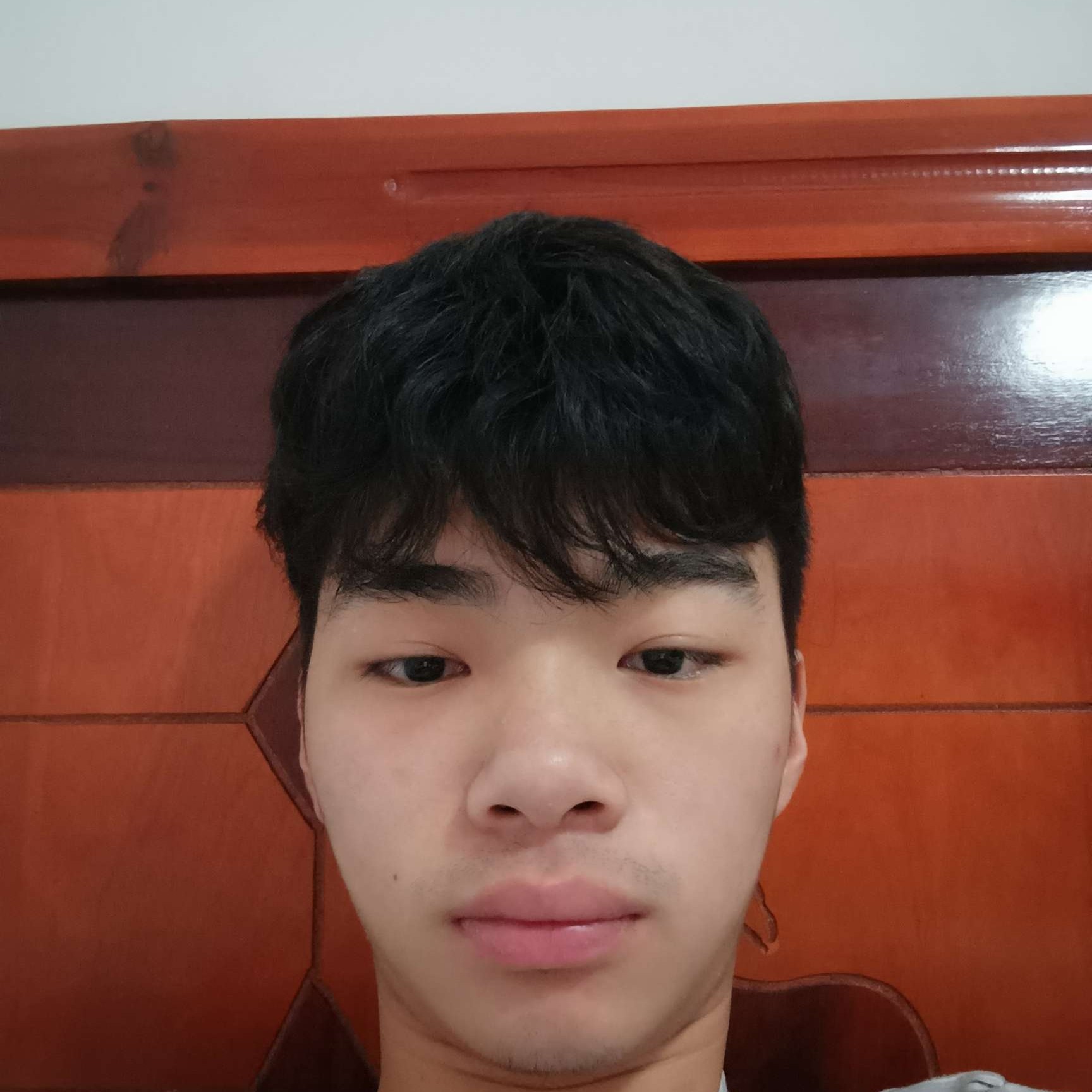 优树的照片
