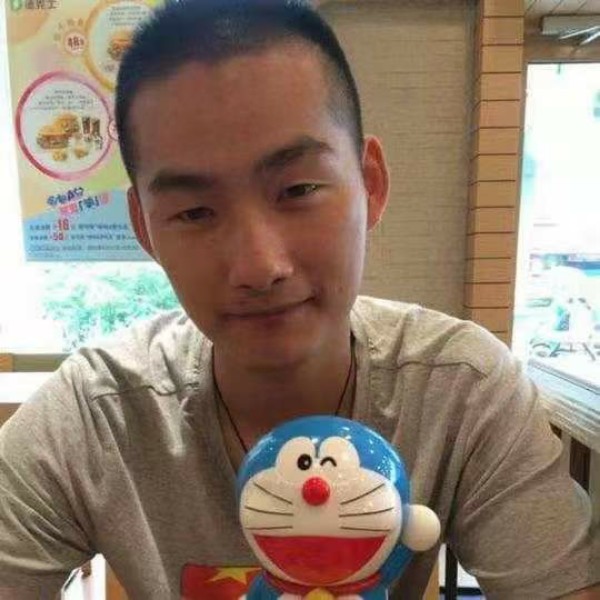 帅气的仙人掌的照片