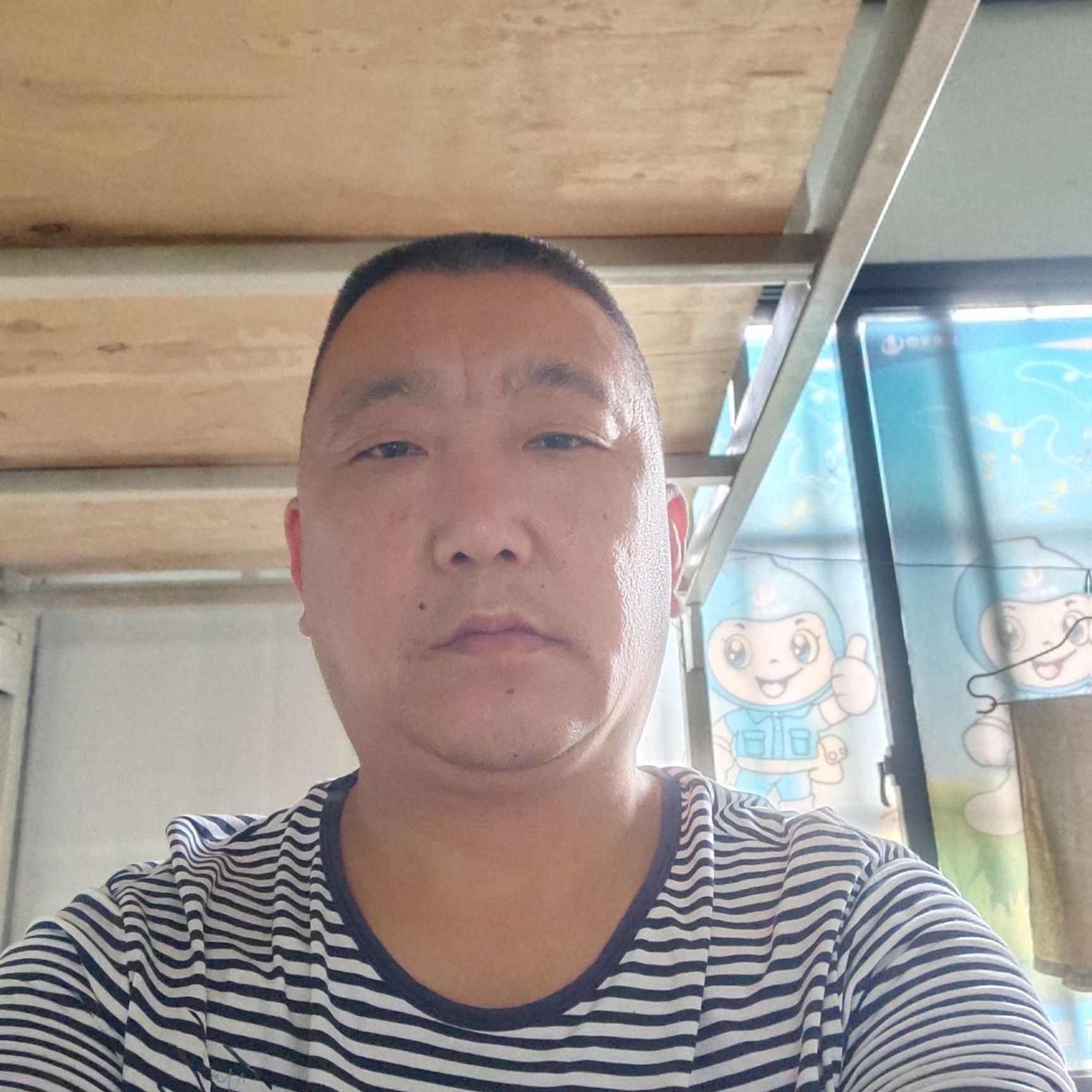帅气拾忆仙人掌的照片