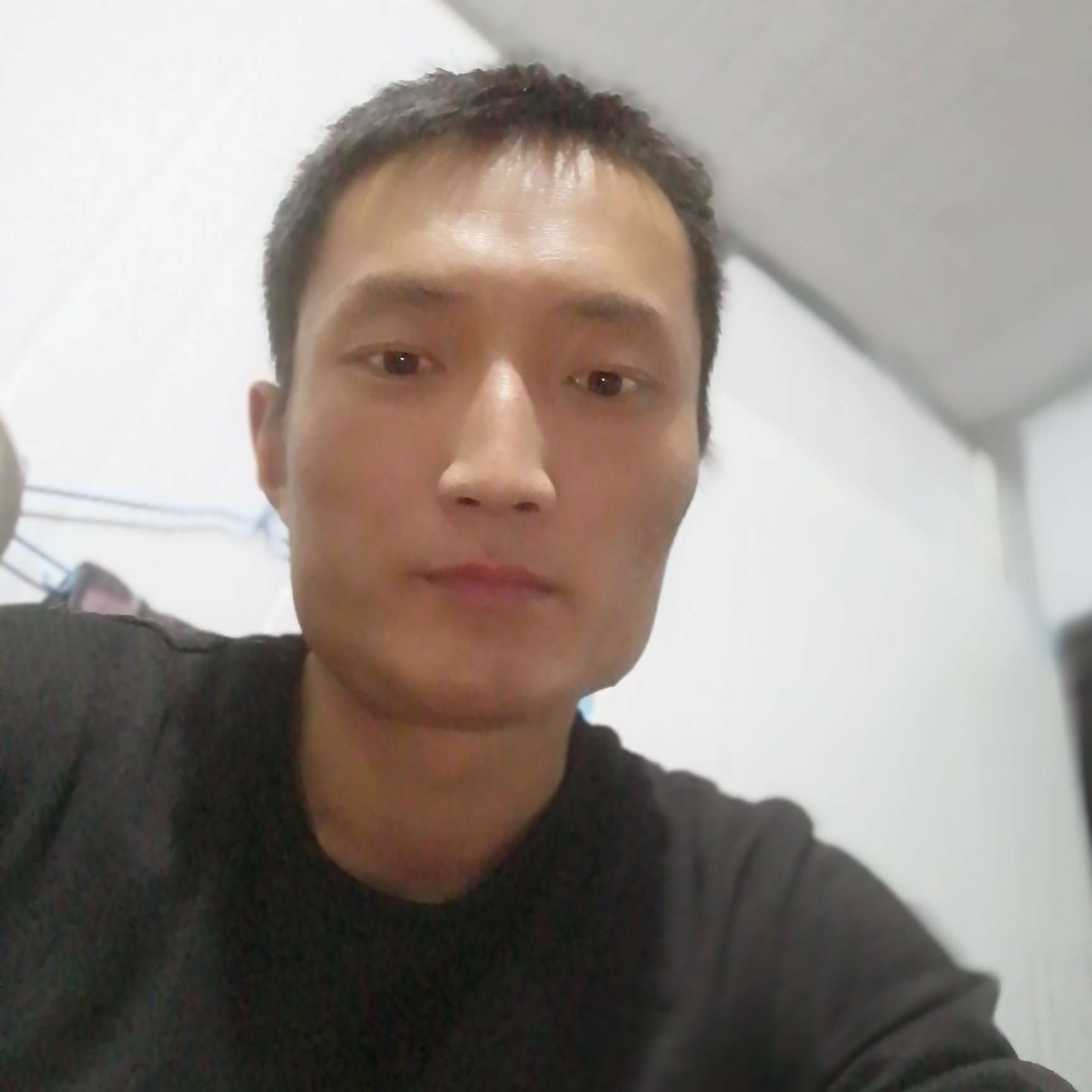朴实演变招牌的照片