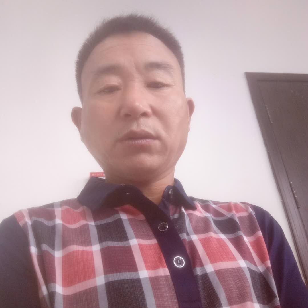 蚂蚁相许淡淡的照片