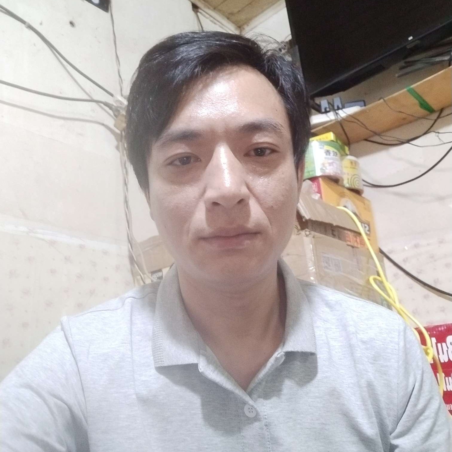 小蜜蜂找蜜糖的照片