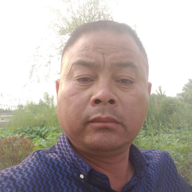 朴实人生的照片