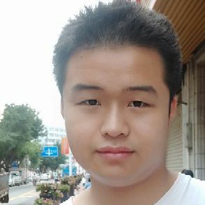 灰狼活泼的照片