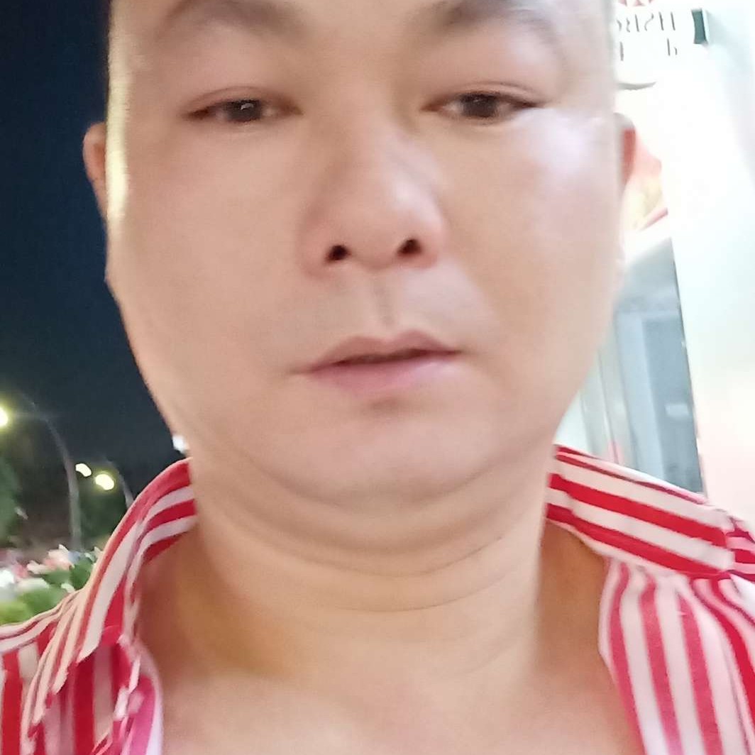 翩飞蹁跹小鸭子的照片