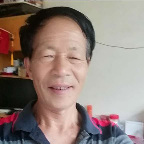 香菇向激情的照片