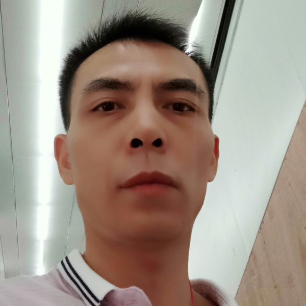 孤独的绿叶的照片