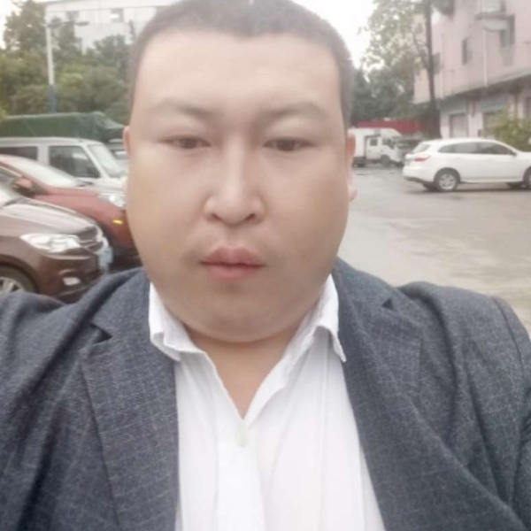 孤單乌龟的照片