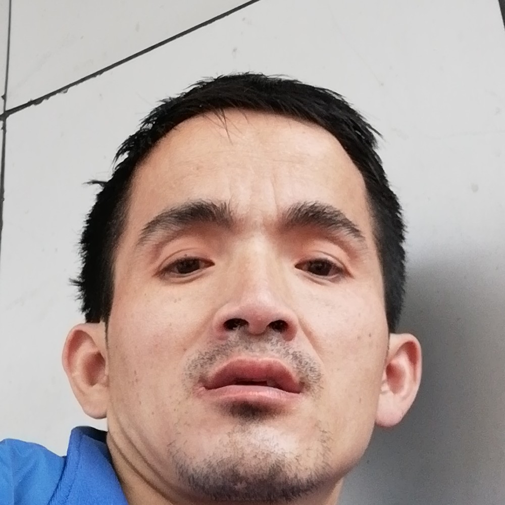 风的完美的照片