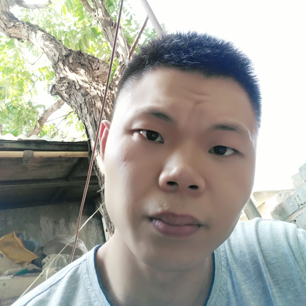 奔跑的小热狗的照片