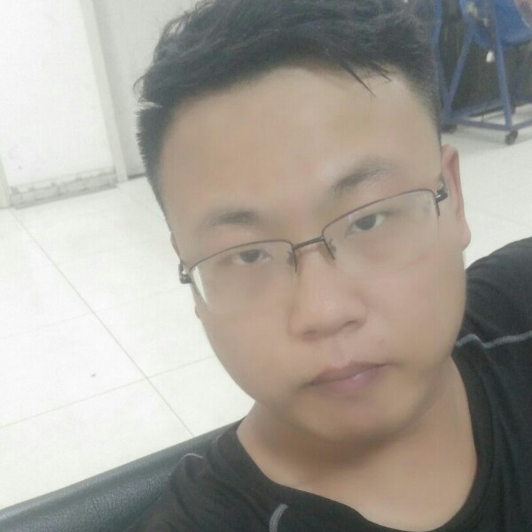 儒雅和小海豚的照片