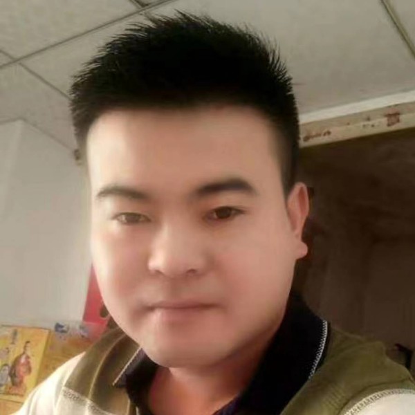 小鸽子落拓的照片