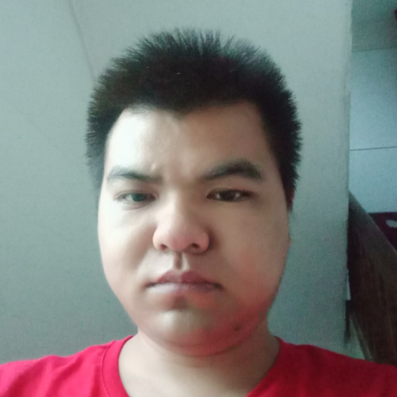 鸡翅默默的照片