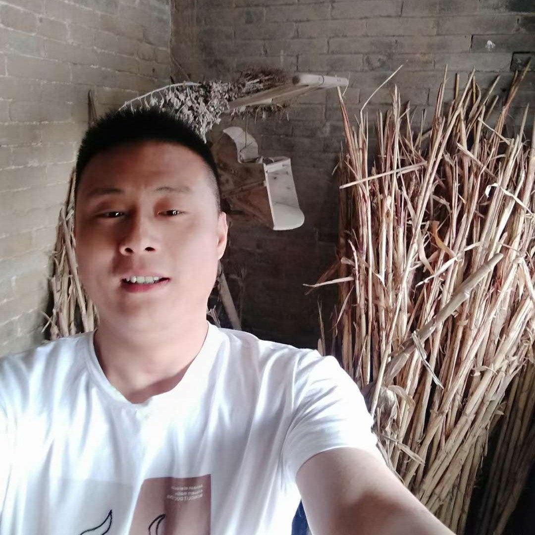草丛欢呼的的照片