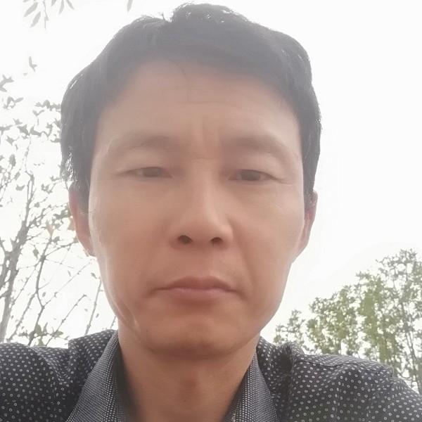 黄豆透彻的照片