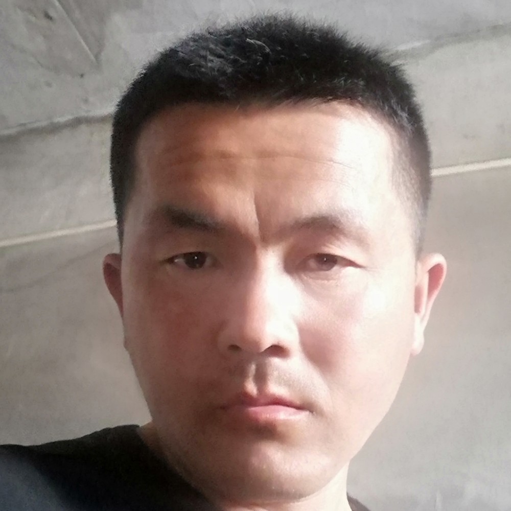 猫咪笑耍酷的照片