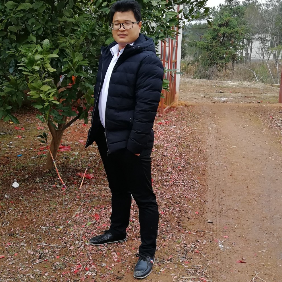 羞涩凝眸玫瑰的照片