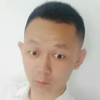 搞怪爱恋斑马的照片