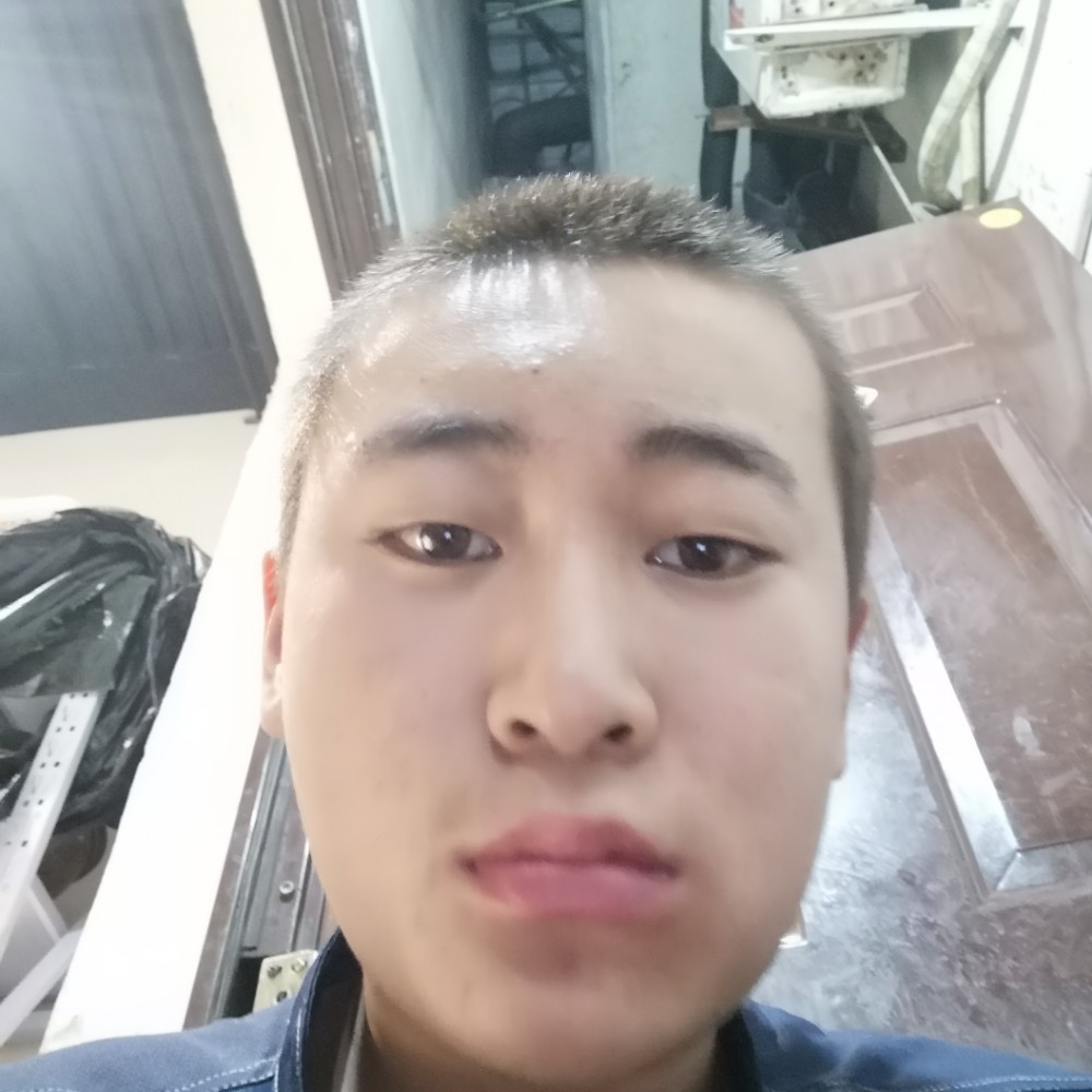 猫咪保卫激动的照片