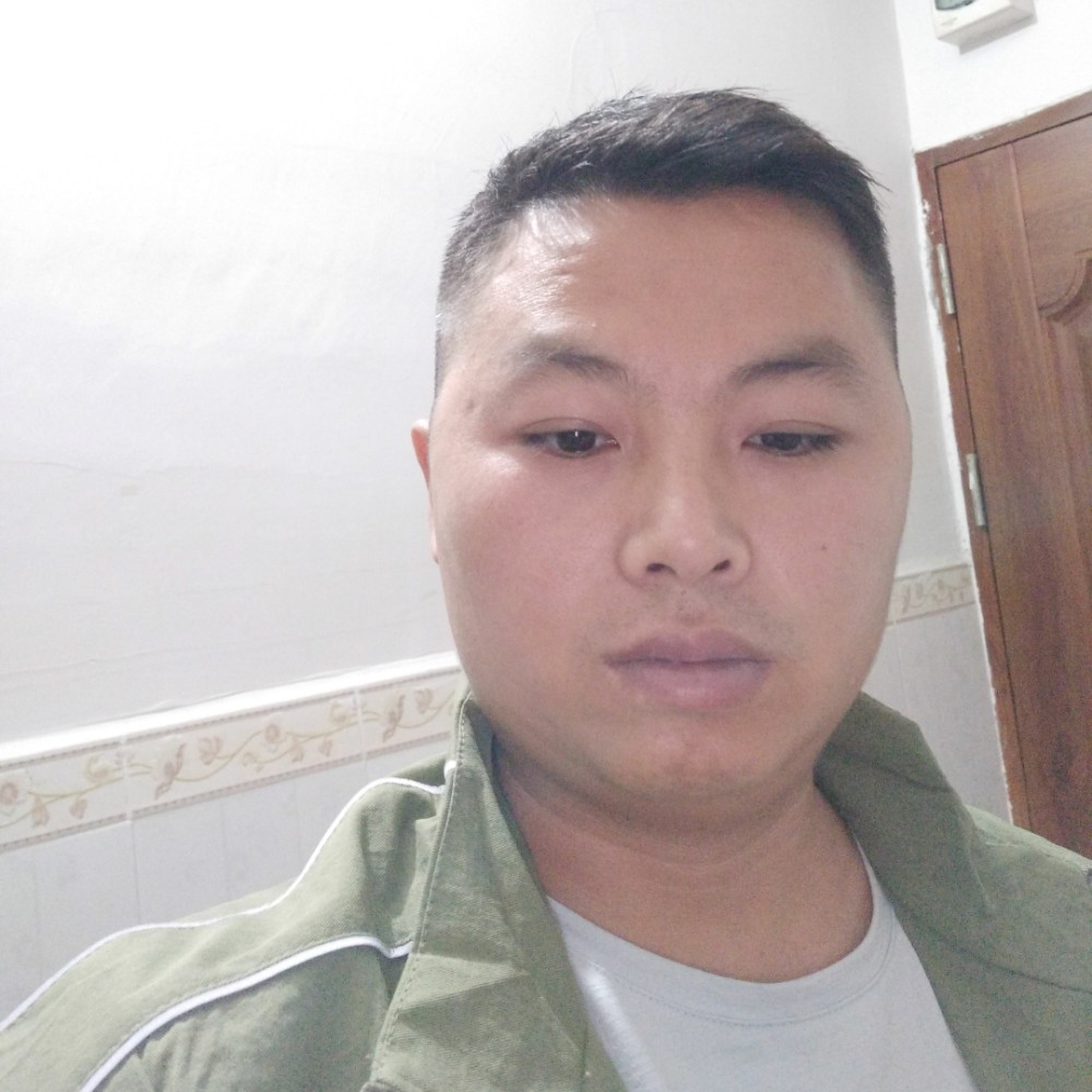 忧郁的萤火虫的照片