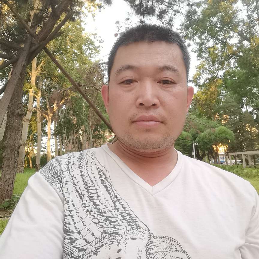 蚂蚁与激昂的照片